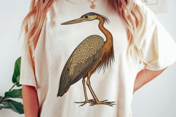 Download Vintage Heron Bird Illustration Png - Bird illustration png Collection